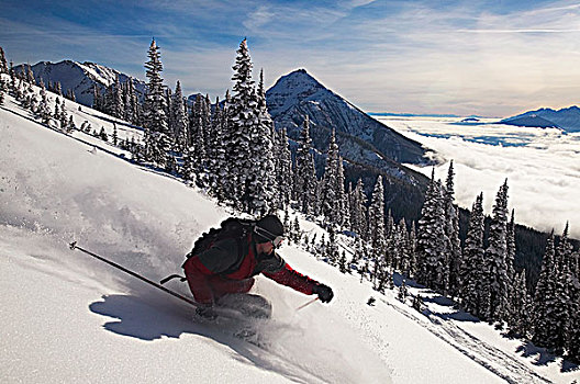 雪,猫,滑雪,攀升,不列颠哥伦比亚省,加拿大