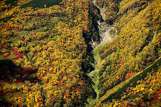 秋色,山