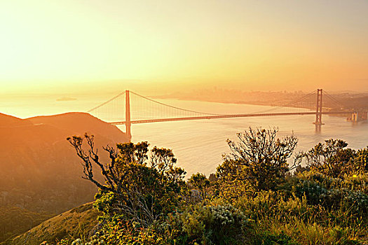 金门大桥,日出,山顶,旧金山,市区