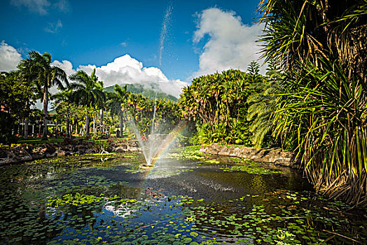 尼维斯岛,山,植物园,喷泉