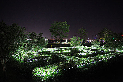 上海徐汇滨江夜景