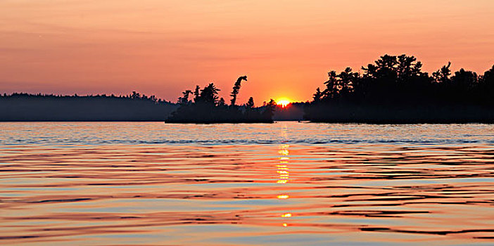 湖,日落,木头,安大略省,加拿大