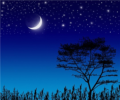 树,月亮,星星