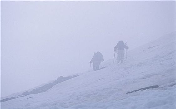 两个,攀登者,雪地,重,雾,提洛尔,奥地利,欧洲