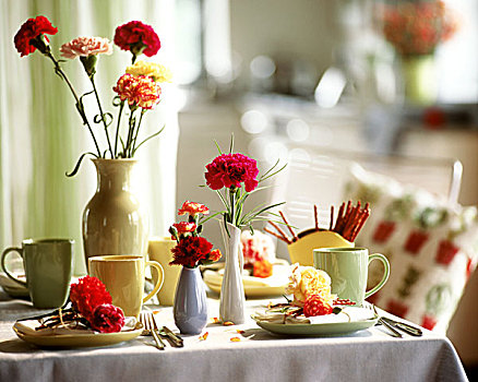 康乃馨,花瓶,桌饰