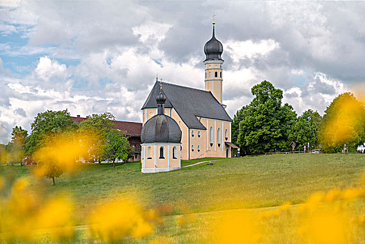 朝圣教堂,绿色,草地,树,晴天,春天,伊尔申伯格,上巴伐利亚,德国