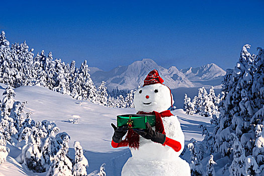雪人,拿着,包装,礼物,雪盖,土地,圣胡安山,背景,科罗拉多,冬天