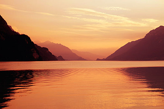 瑞士,湖,日落