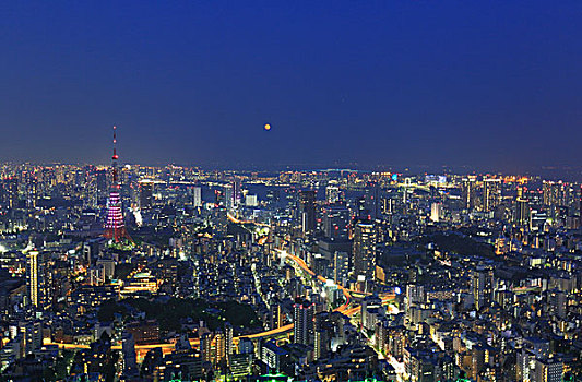 日本东京--东京塔全景夜晚