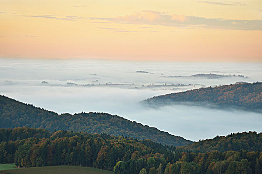 景色,俯视,山,早,秋天,早晨,雾,巴伐利亚森林国家公园,巴伐利亚,德国