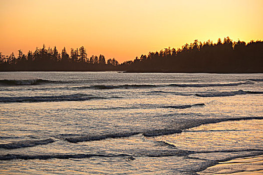 波浪,长滩,乐园,日落,环太平洋国家公园,靠近,不列颠哥伦比亚省,加拿大