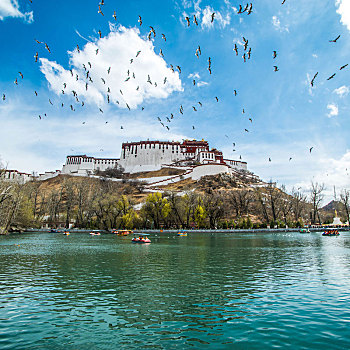 西藏自治区拉萨市布达拉宫
