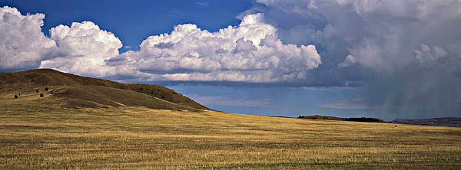 积雨云,上方,朴素,东方,草原,蒙古