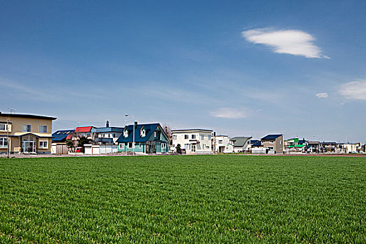 麦田,住宅区