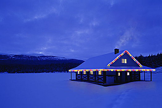 小屋,圣诞灯光,雪,背景,艾伯塔省,加拿大