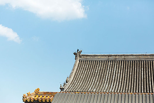 北京故宫房檐顶尖上一只小鸟路在上面