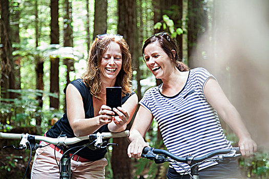 两个女人,山地车手,看,智能手机,树林
