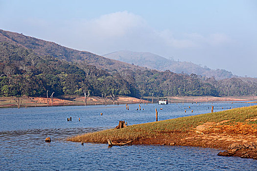 湖,佩里亚国家公园,喀拉拉,印度,南亚,亚洲