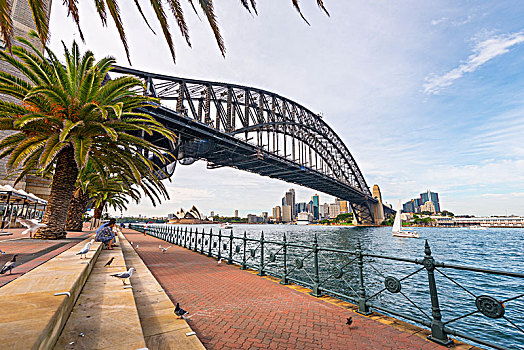 悉尼港大桥,背影,悉尼歌剧院,剧院,悉尼,新南威尔士,澳大利亚,大洋洲