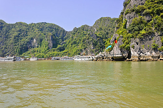 旅游,船,洞穴,下龙湾,越南