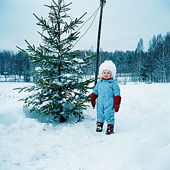 女孩,站立,靠近,圣诞树,达拉那,瑞典