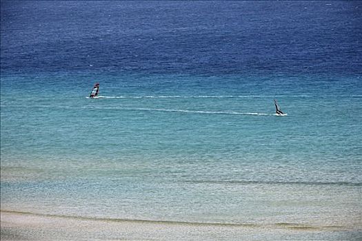风帆冲浪者,富埃特文图拉岛,加纳利群岛