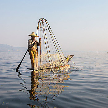腿,桨手,渔民,茵莱湖,缅甸,亚洲