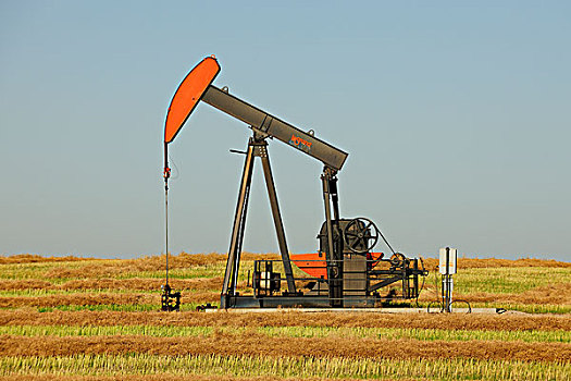 油,泵,产生,草原,萨斯喀彻温,加拿大