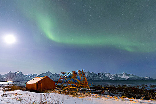 北极光,颜料,天空,高处,自然保护区,阿尔卑斯山,特罗姆斯,挪威,拉普兰,欧洲