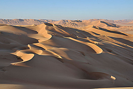阿曼苏丹国,佐法尔,擦,沙漠,空,区域,沙子,世界,边界,也门,阿拉伯,风景,赭色,沙丘