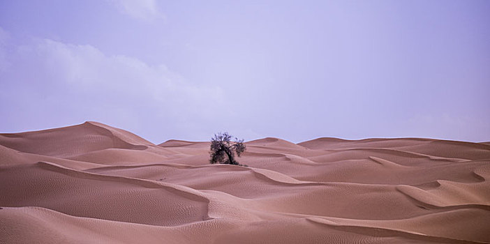 撒哈拉沙漠