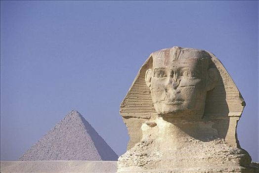 埃及,吉萨,高原,金字塔,背影