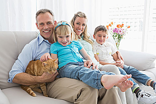 可爱,家庭,放松,一起,沙发,猫