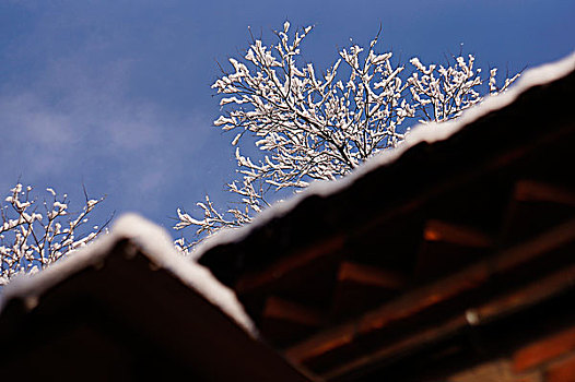 地坛公园雪景