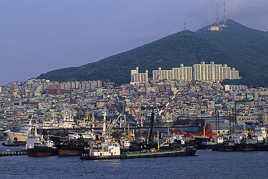 韩国,釜山,港口,城市,背景