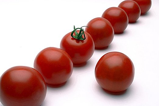 西红柿,白色背景,特写