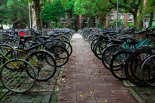 大学校园里脚踏车停车场停放着许多自行车