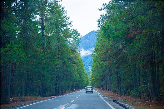 征途之旅,318川藏路上的壮美风景