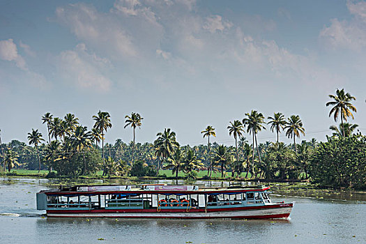 渡轮,棕榈树,死水,运河,喀拉拉,海岸,印度南部,印度,亚洲