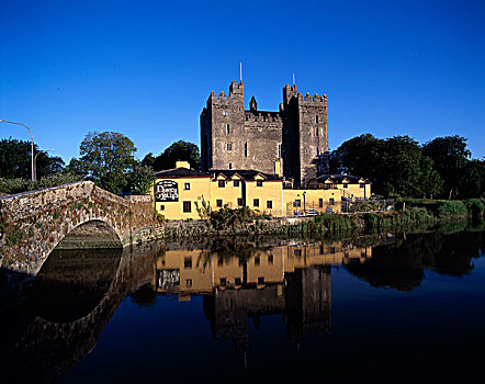 反射,城堡,水中,克雷尔县,爱尔兰
