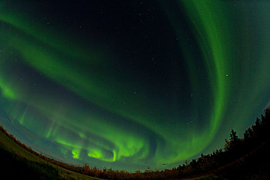 螺旋,北极光,极地,绿色,靠近,育空地区,加拿大