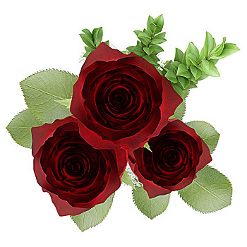 俯视,三个,红玫瑰,花瓶,隔绝