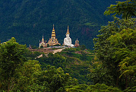 五个,坐,佛像,寺院,苏梅岛,泰国