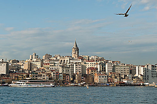 鸟,飞行,上方,水,风景,船,水岸,伊斯坦布尔,土耳其