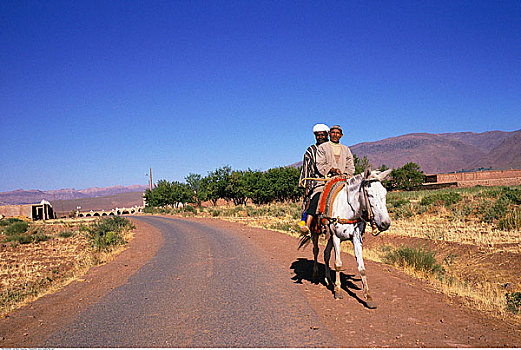 男人,骑马,途中,摩洛哥