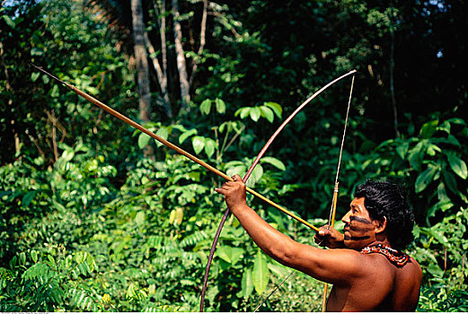 男人,部落,猎捕,弓箭,巴西