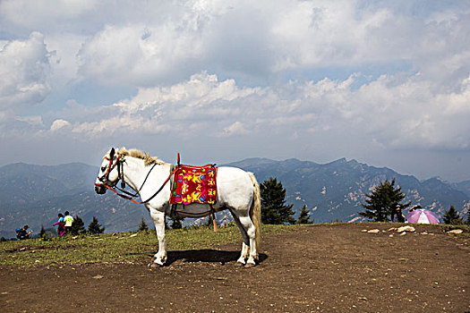 驼梁风景