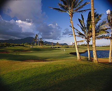 夏威夷,考艾岛,坡伊普,高尔夫球场,下午,亮光,影子,绿色,棕榈树