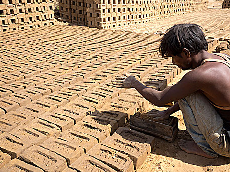 工作,制作,泥,砖,拉贾斯坦邦,印度
