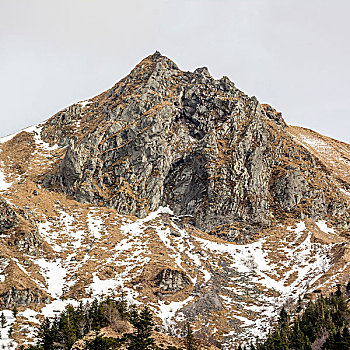 风景,山丘,中心